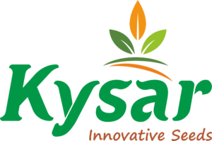 Kysar Innovative Seeds